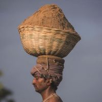 全球沙荒：20年貿易額增長六倍 中國占亞洲一半，一場全球資源危機！正在愈演愈烈！