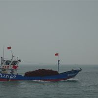 建設(shè)時(shí)產(chǎn)6000噸骨料系統(tǒng)、3.5公里廊道、配套3000萬噸碼頭！中電建廣東陽(yáng)江大礦來了