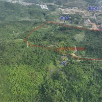 1.1億噸、500萬噸/年！浙江衢州12.3億元掛牌出讓灰?guī)r礦