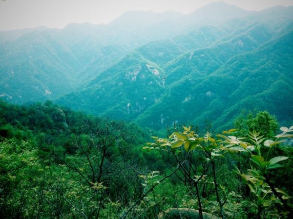 湖南嚴控采砂場使用林地審批 使用結束后一年內(nèi)需復綠